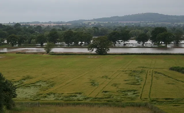 A farm field inundated with floodwater, the standing crop submerged