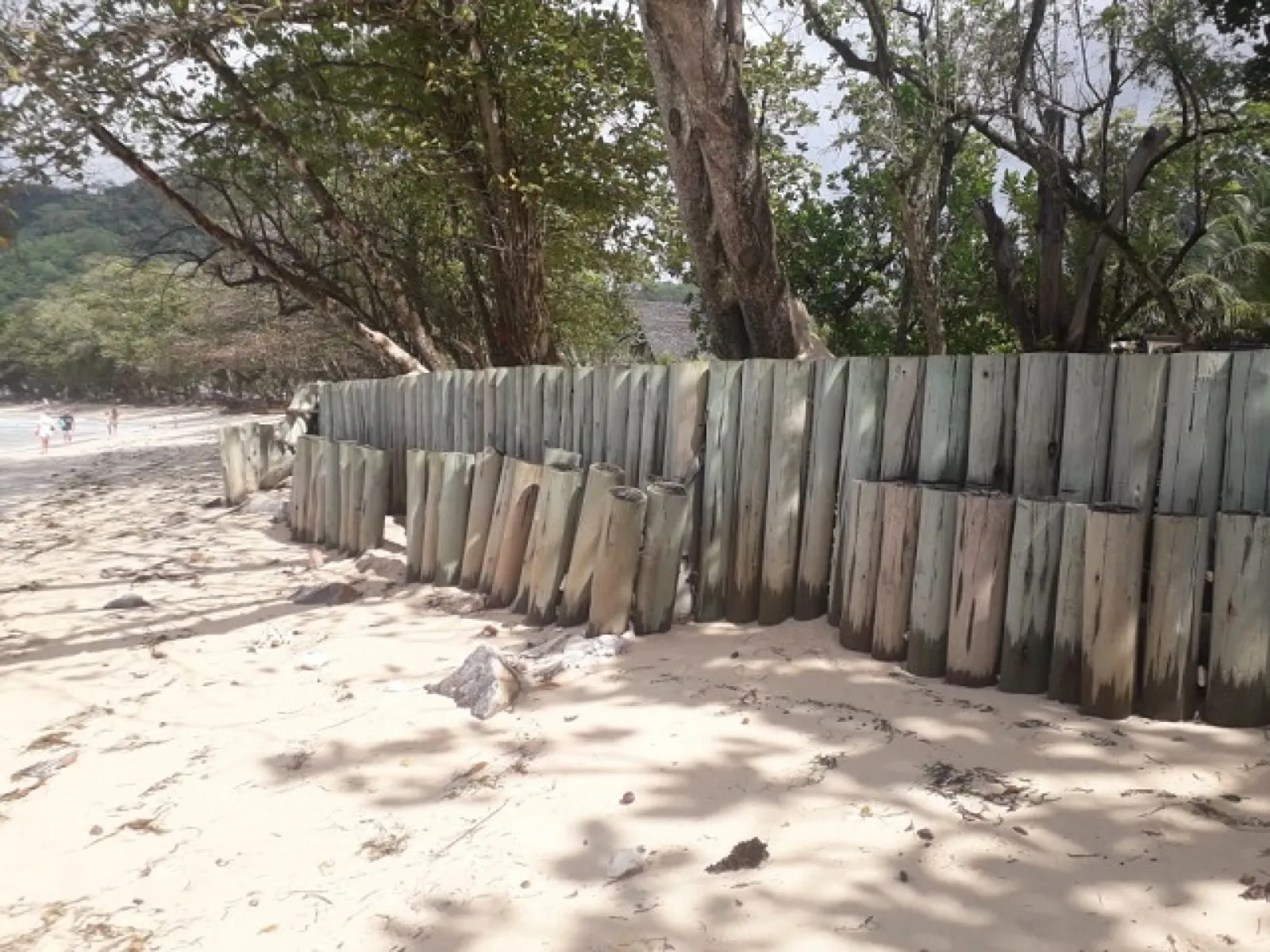 A concrete seawall protecting a coastline
