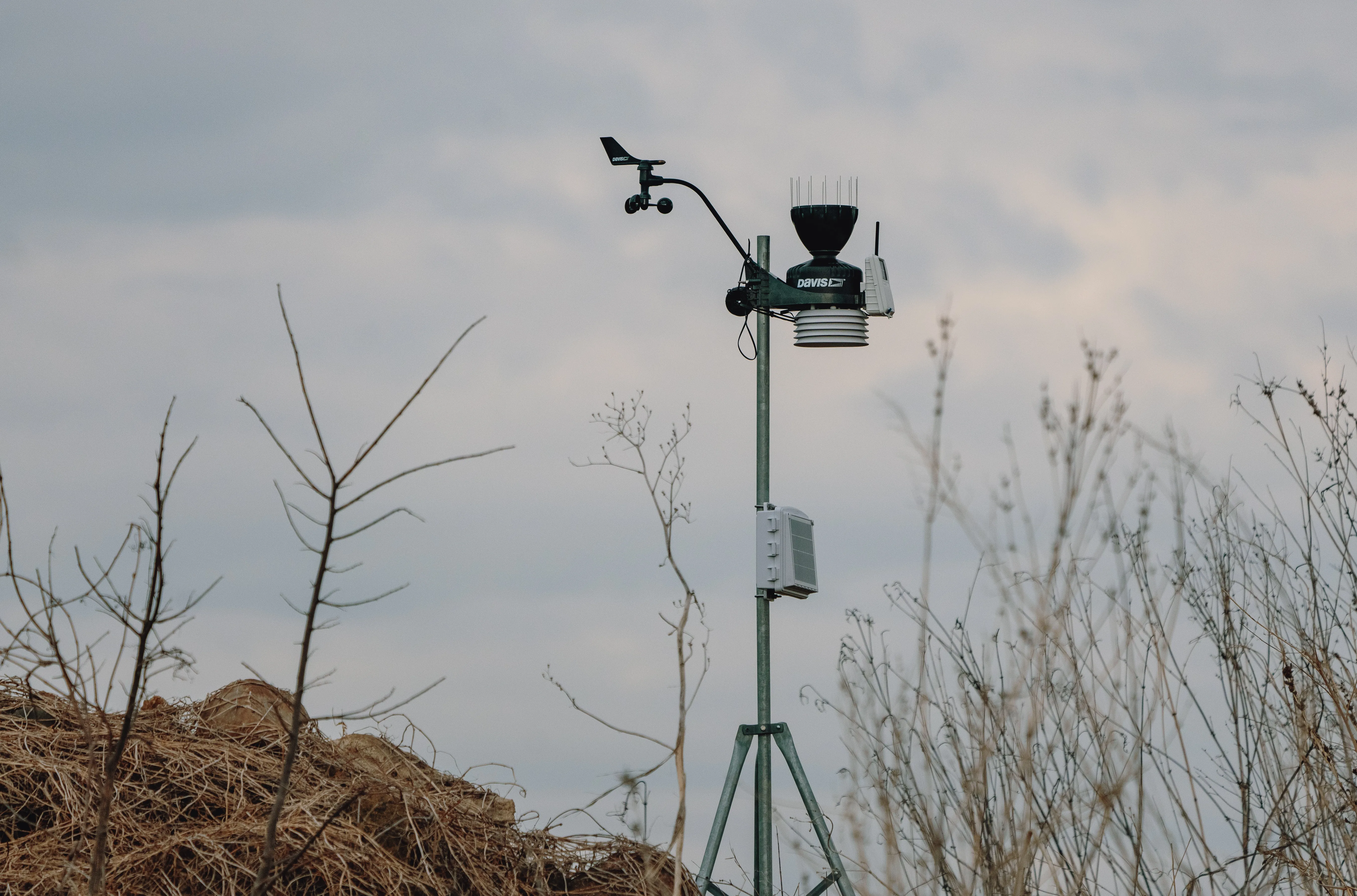 A weather station with a spinning cup anemometer and wind vane on a pole