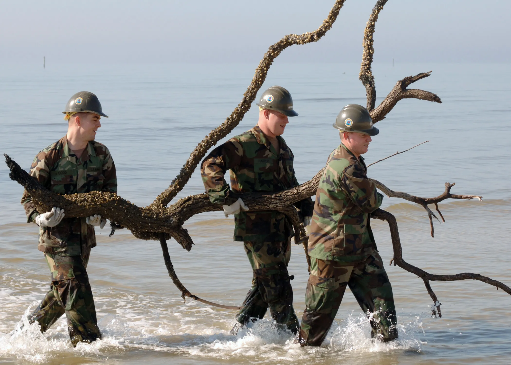 A team carries a fallen tree out of the water during a community cleanup