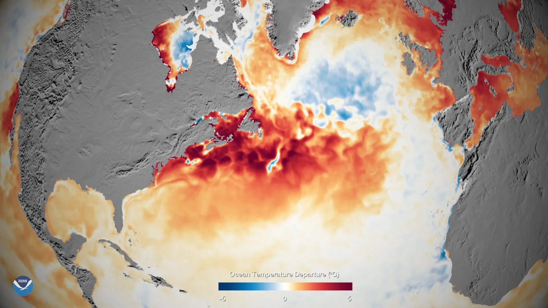 A satellite map of sea surface temperatures across the western North Atlantic, with large areas above 80°F (26.5°C) shaded in orange and red