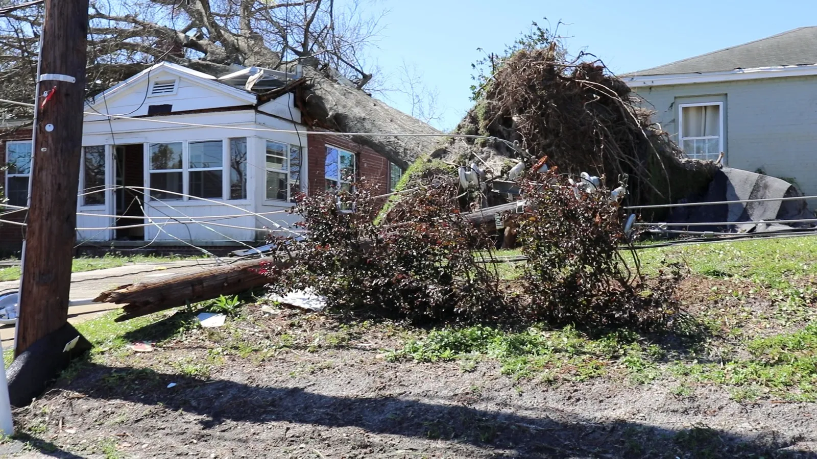 Uprooted trees and downed power lines on homes in Panama City, Florida after Hurricane Michael