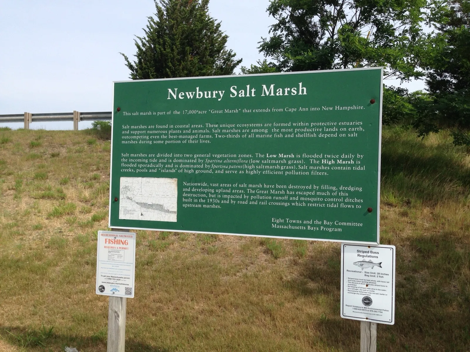 A coastal salt marsh that buffers storm surge and waves