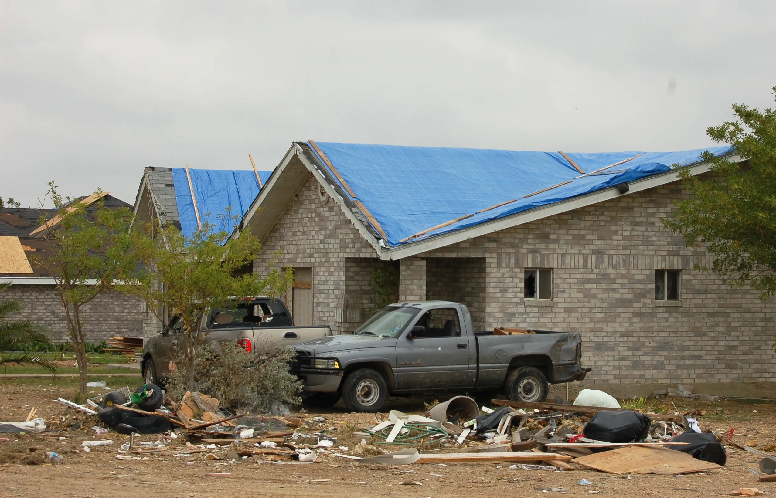 A neighborhood of homes covered with blue emergency roof tarps after a hurricane