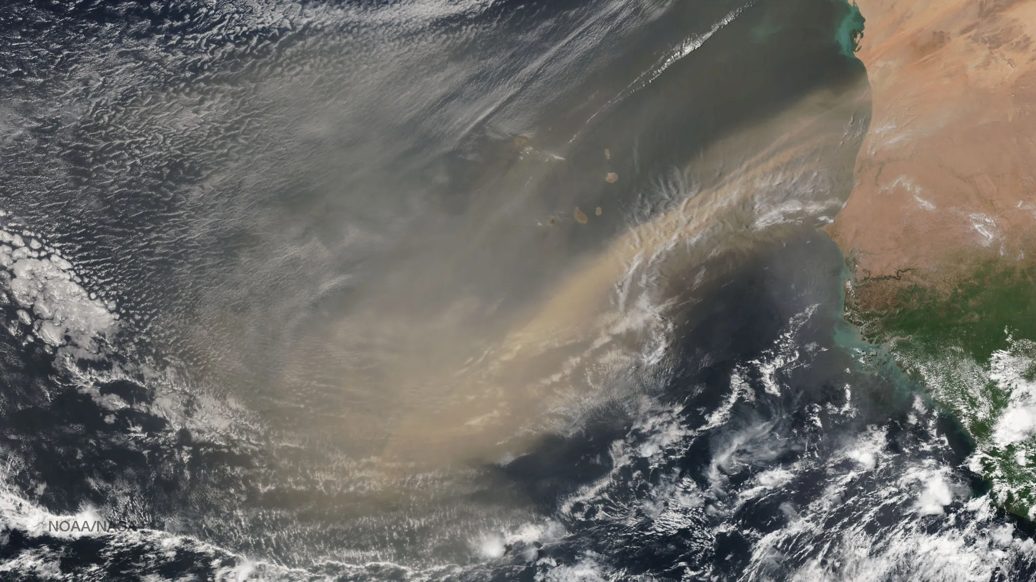 A satellite image of a thick plume of Saharan dust blowing off the West African coast westward over the Atlantic Ocean