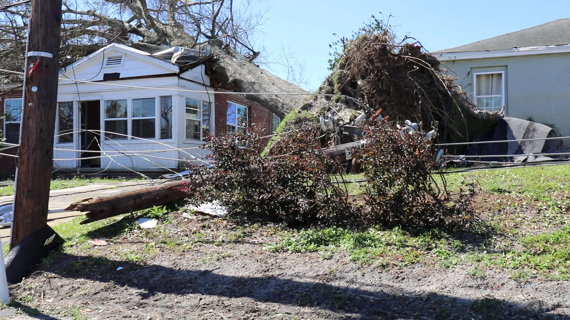 A large tree uprooted onto a damaged house with downed power lines, after Hurricane Michael in Panama City, Florida
