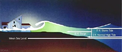 A diagram showing storm surge added on top of the normal high tide to produce a higher total storm tide above mean sea level